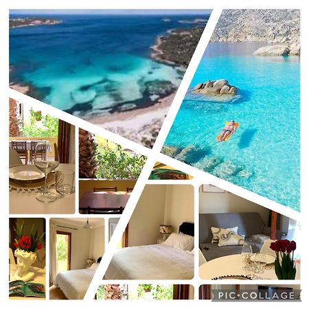 Nest House - Esclusivo Appartamento Marina Di Olbia- Mater Olbia - Beaches - Close To The Airport - Private Parking- Full Comforts - Екстериор снимка
