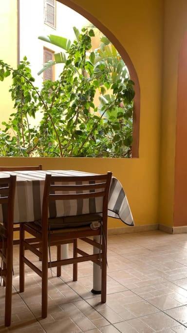 Nest House - Esclusivo Appartamento Marina Di Olbia- Mater Olbia - Beaches - Close To The Airport - Private Parking- Full Comforts - Екстериор снимка