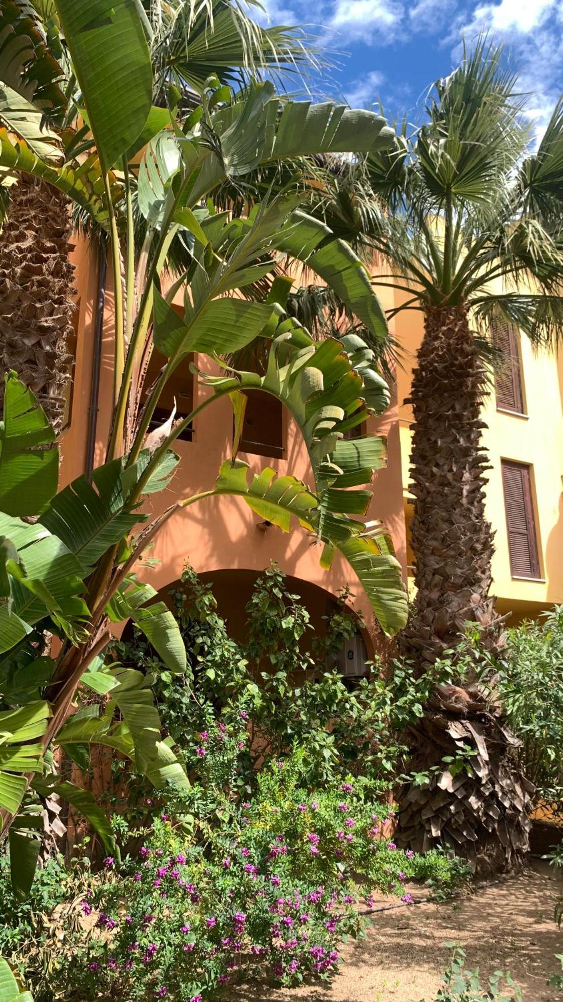 Nest House - Esclusivo Appartamento Marina Di Olbia- Mater Olbia - Beaches - Close To The Airport - Private Parking- Full Comforts - Екстериор снимка