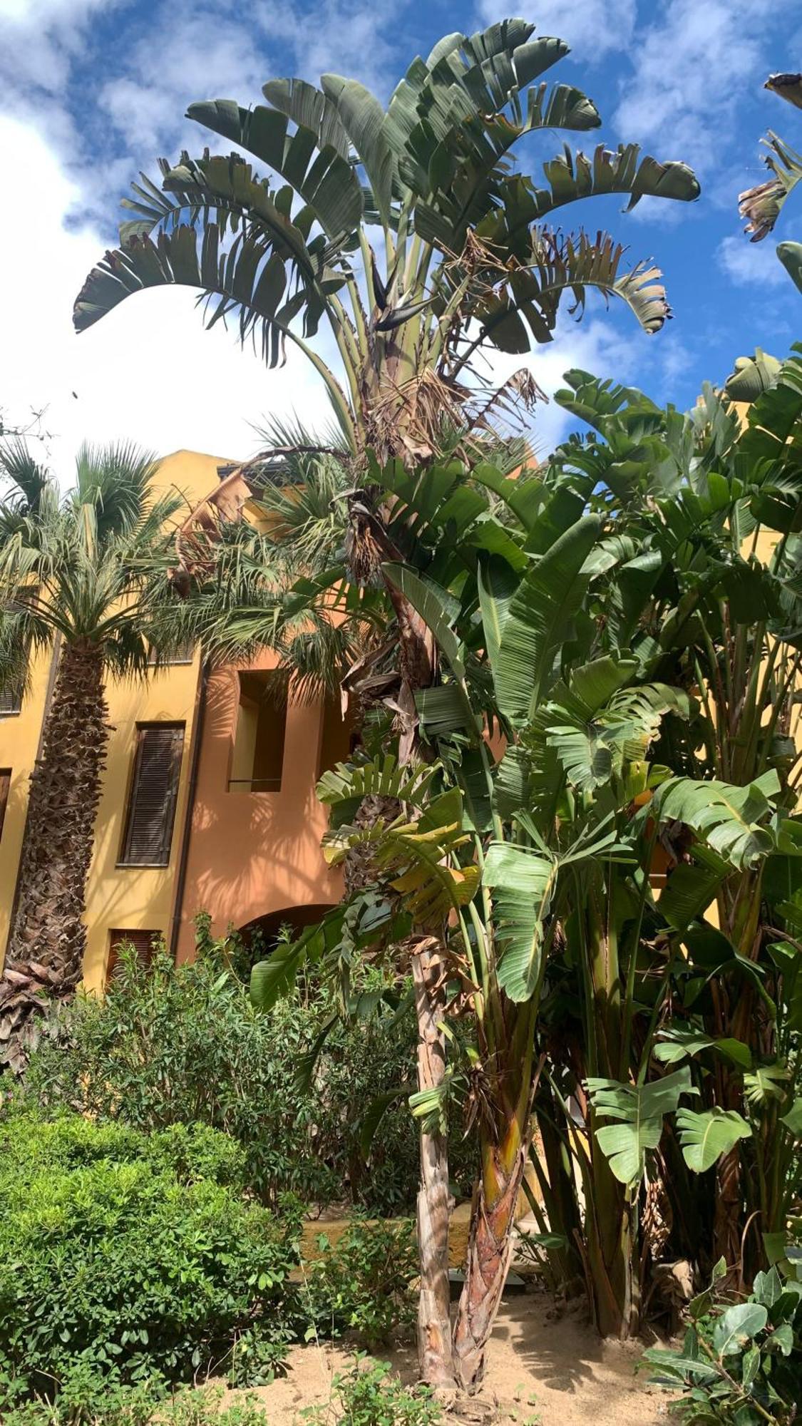 Nest House - Esclusivo Appartamento Marina Di Olbia- Mater Olbia - Beaches - Close To The Airport - Private Parking- Full Comforts - Екстериор снимка